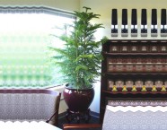 Manufacturers Exporters and Wholesale Suppliers of Chrismas Tree Gurgaon Haryana